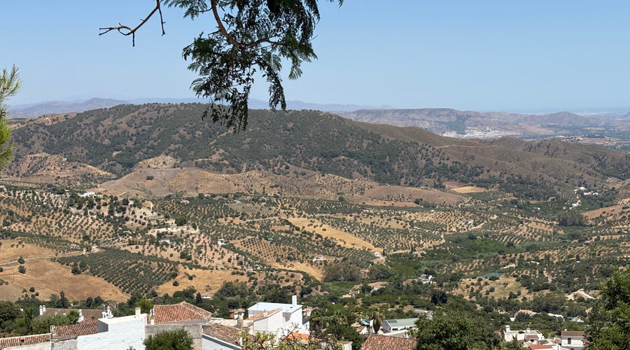 A FLYING VISIT TO SPAIN - JULY 2026