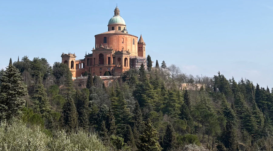 A WEEKEND TREAT - MARCH 2026