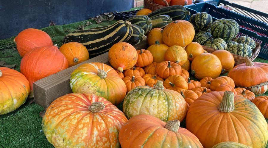 I THINK YOU’LL LIKE THIS - OCTOBER 2025